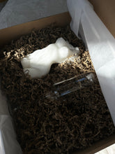 Load image into Gallery viewer, WOMAN TORSO XL