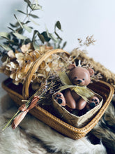 Load image into Gallery viewer, Fifi and Kima Bear