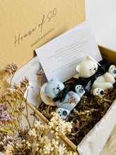 Load image into Gallery viewer, Fifi and Kima Bear