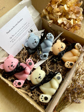 Load image into Gallery viewer, Fifi and Kima Bear