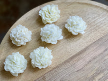 Load image into Gallery viewer, ROSAL