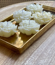 Load image into Gallery viewer, ROSAL