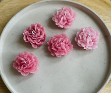 Load image into Gallery viewer, ROSAL