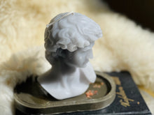 Load image into Gallery viewer, DAVID'S FACE