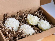 Load image into Gallery viewer, ROSAL