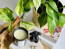 Load image into Gallery viewer, LOVE SPELL