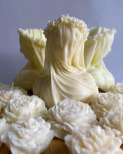 Load image into Gallery viewer, The Lady in Veiled
